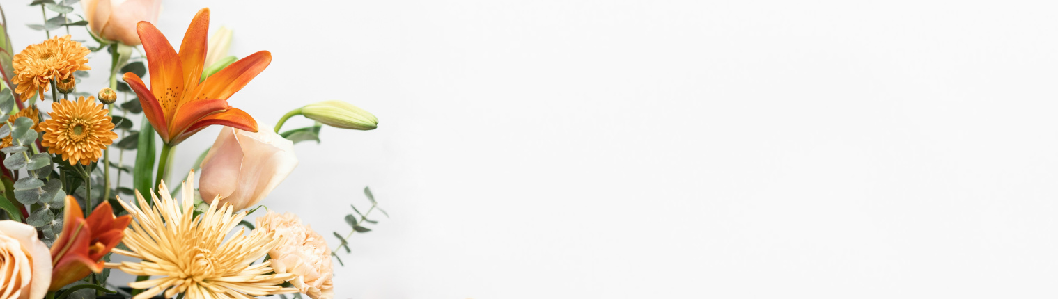 Regalar Flores en Irún