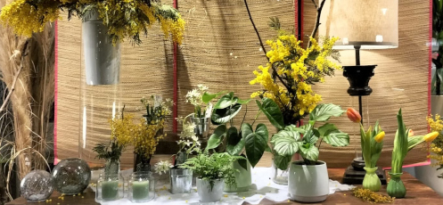 Enviar Flores a Irún