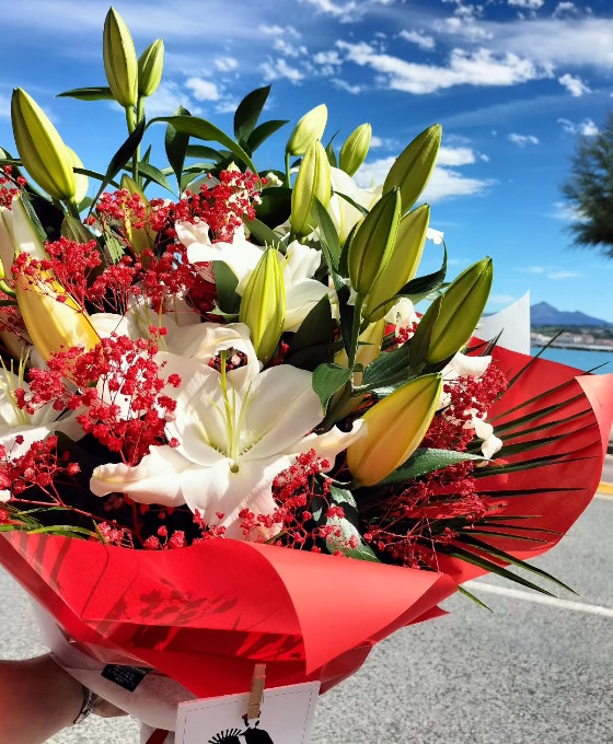 Regalar Flores de temporada en Irún
