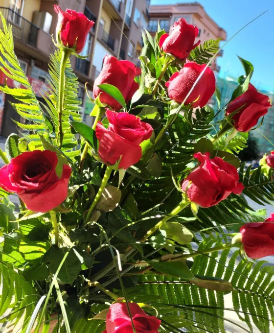 Ramos de Rosas en Irún